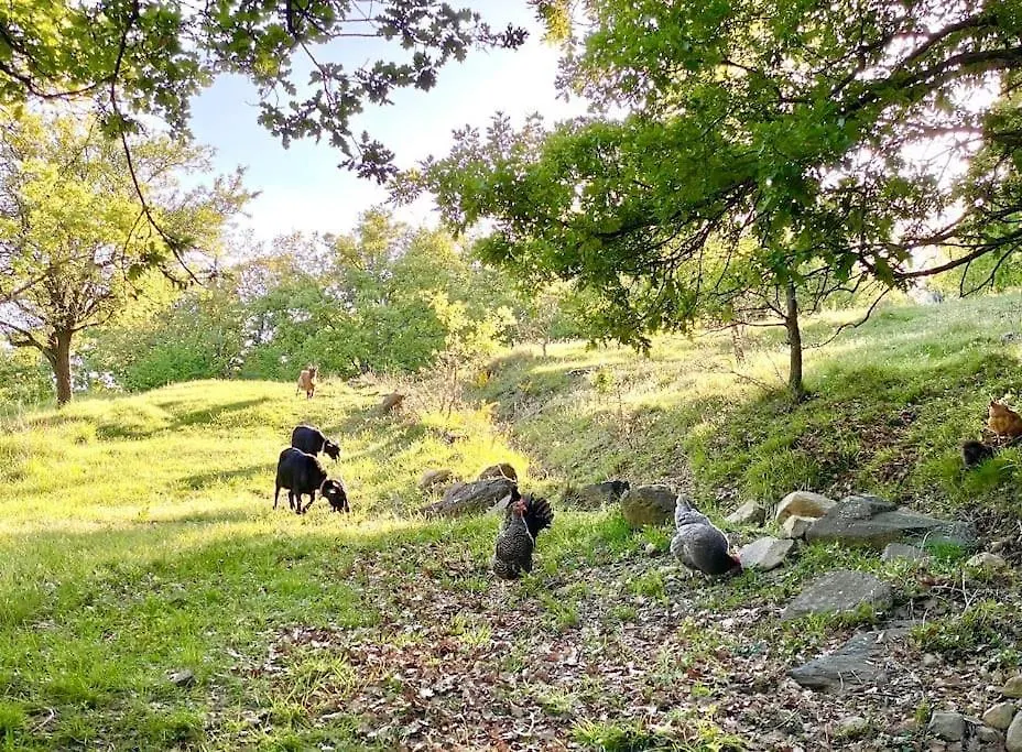 Gite De La Bergerie Lussas France